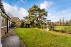 Rear Garden- click for photo gallery